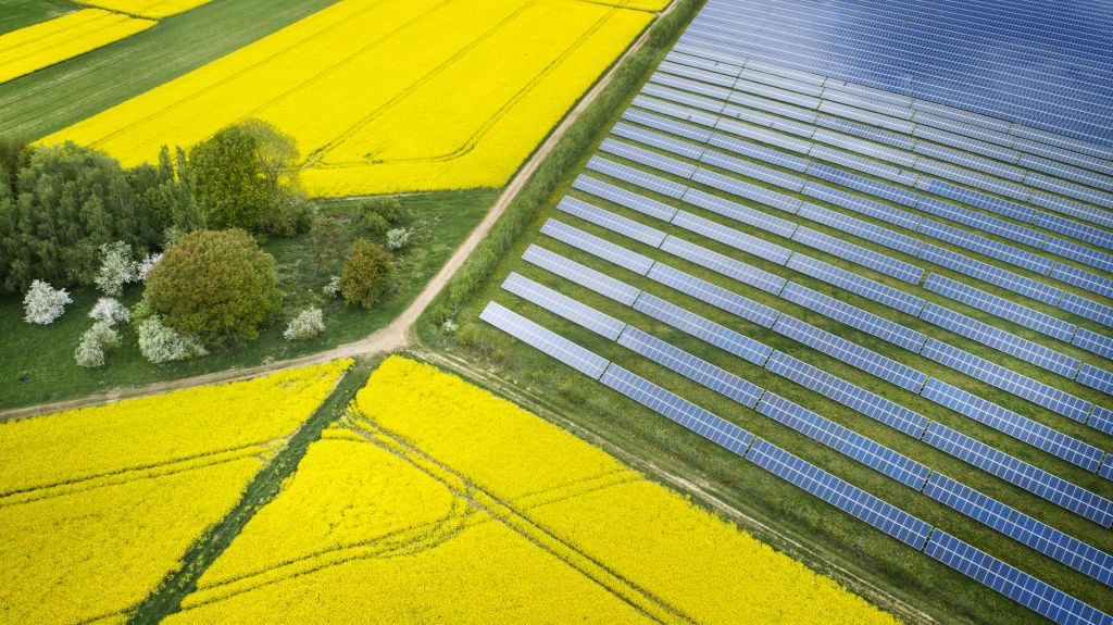Das Foto zeigt einen Solarpark von Energiekontor. Der Bremer Erneuerbare-Energie-Konzern gehört zu den ECOreporter-Favoriten-Aktien der Kategorie Grüne Spezialwerte. / Foto: Energiekontor