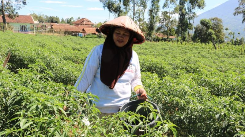 Mikrofinanzkundinnen aus Moldawien und Indonesien. / Fotos: Smart Credit, Komida, GLS