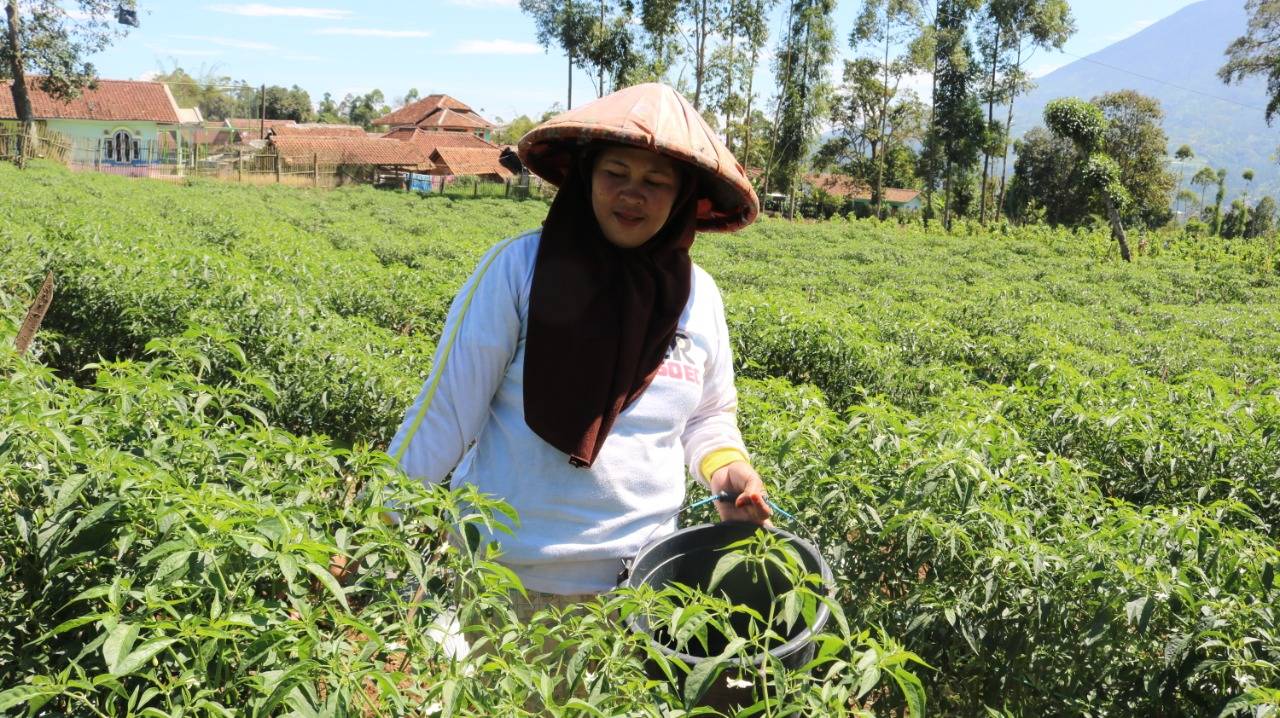 Mikrofinanzkundin in Indonesien. Mikrokredite sind für viele Menschen im globalen Süden die einzige Möglichkeit, sich bei einer Bank Geld für den Aufbau eines Kleingewerbes zu leihen. / Foto: GLS Investments