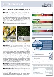 Den vollständigen Fondstest finden Sie weiter unten als PDF.