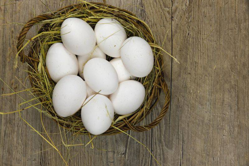 Tipp: Zehn Titel aus verschiedenen Sektoren in den Korb legen. / Foto: Pixabay