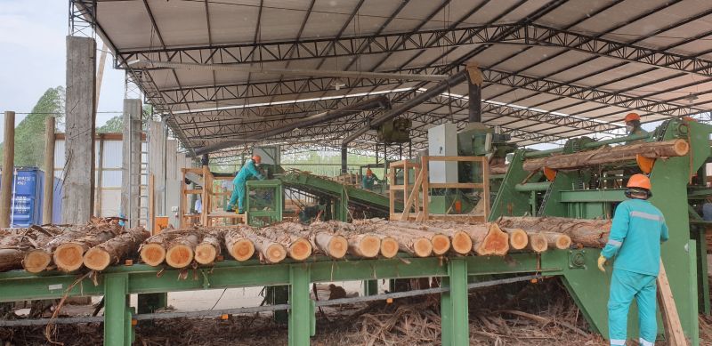 Das Sägewerk von Miller Forest und Felber Forestal. / Foto: Miller Forest