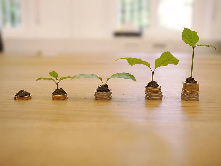 Grünes Geld: Die 10 besten Tipps für nachhaltige Investments